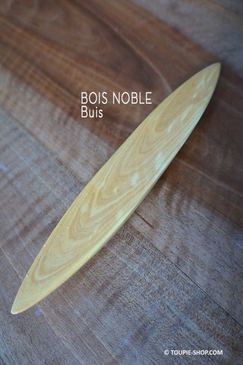 Rattleback Anagyre Toupie Bois Noble Local de Buis Jeu Artisanal Scientifique Fabrique en France Collection Jouet Toupie Shop